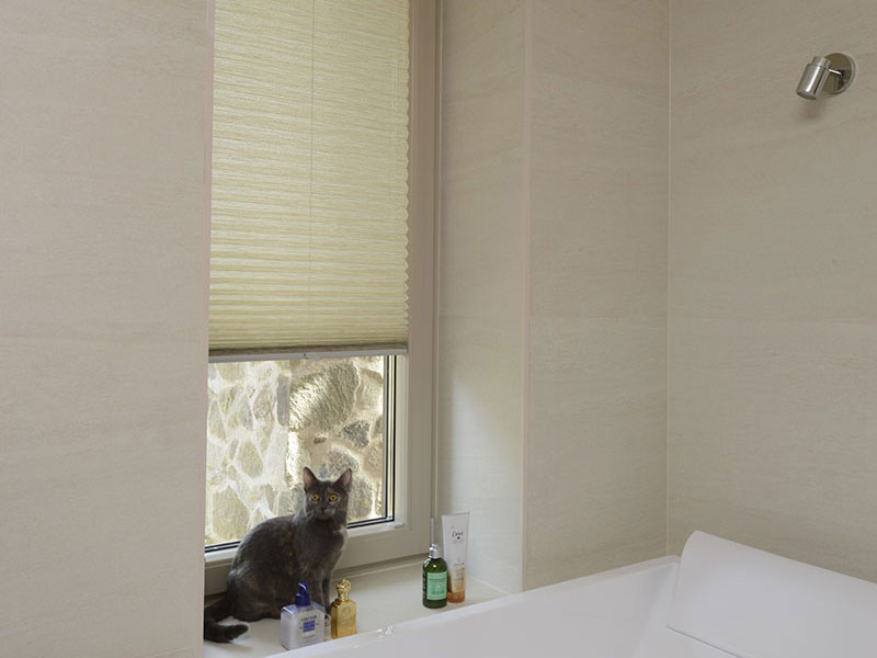 Plisse blinds